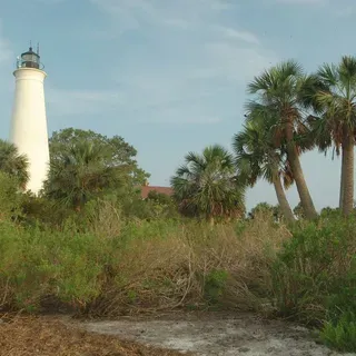 thumbnail for publication: Wakulla County